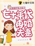 七十年代再婚养娃日常