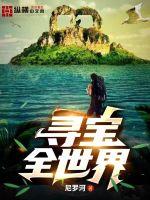 寻宝全世界叶天全文免费阅读
