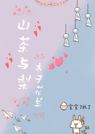 山茶小说