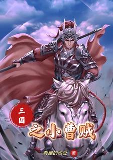 三国之小兵霸途txt全集下载